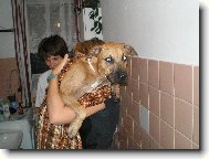 Фотография: ???????????? ???????