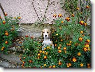 Фотография: ?????