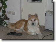 Фотография: ????? (??????? ???????? ??????)