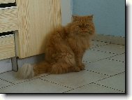 Фотография: ?????????? ?????
