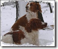 Фотография: ?????????? ??????-????? ??????