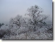 Фотография: ????????