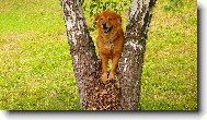 Фотография: ???????? ?????? (???????)