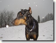 Фотография: ????????