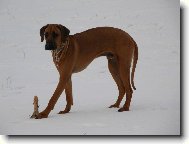Фотография: ??????????? ???????