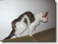 Фотография: ???????? ??? (TUA)