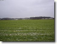 Фотография: Остальные