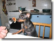 Фотография: ???????? ???????? (???????? ??????, ??????? ??????, ???????? ????????)