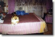 Фотография: ????? ?????????????? (??????????? ???????)